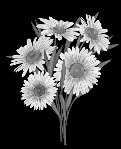 Цветы 060 (ромашки)